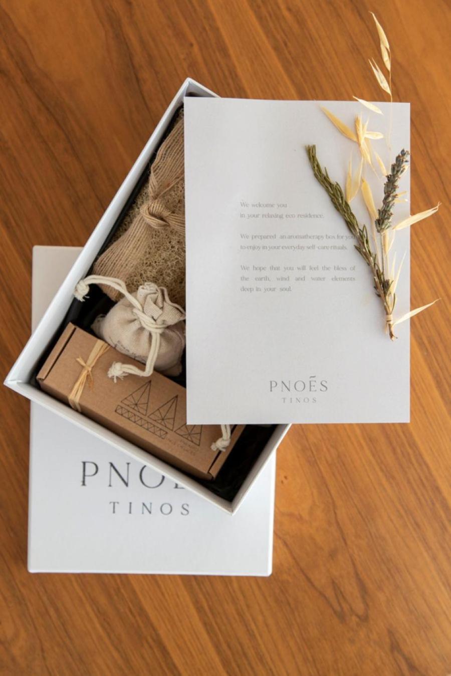 Pnoes Tinos Villa Eksteriør billede